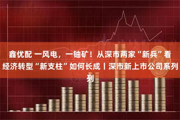鑫优配 一风电，一铀矿！从深市两家“新兵”看经济转型“新支柱”如何长成丨深市新上市公司系列