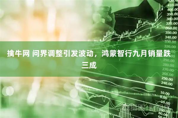 擒牛网 问界调整引发波动，鸿蒙智行九月销量跌三成