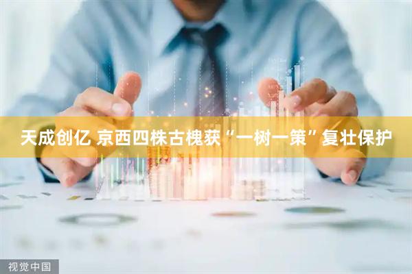 天成创亿 京西四株古槐获“一树一策”复壮保护